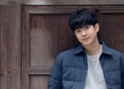 Choi Woo Shik Keceplosan Soal Kepribadian Kim Soo Hyun