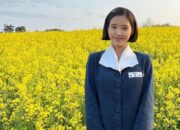 Ini Makna Judul Drakor ‘When Life Gives You Tangerines’